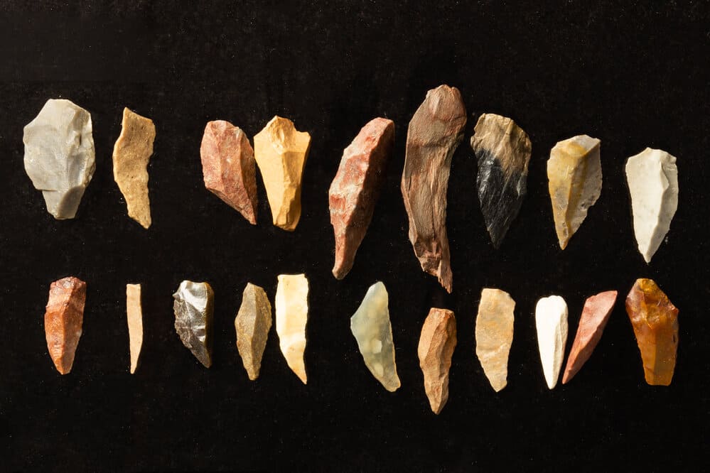 Stone Tools: A Journey Through Early Human Innovation