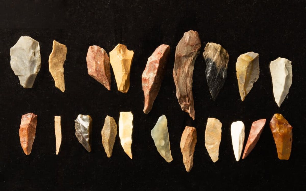 Stone Tools: A Journey Through Early Human Innovation